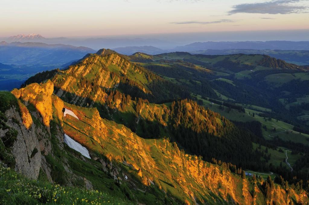 Alpin & Wellness Resort Hotel Ludwig Royal Oberstaufen Exteriör bild